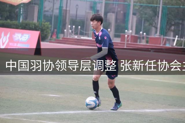 中国羽协领导层调整 张新任协会主席